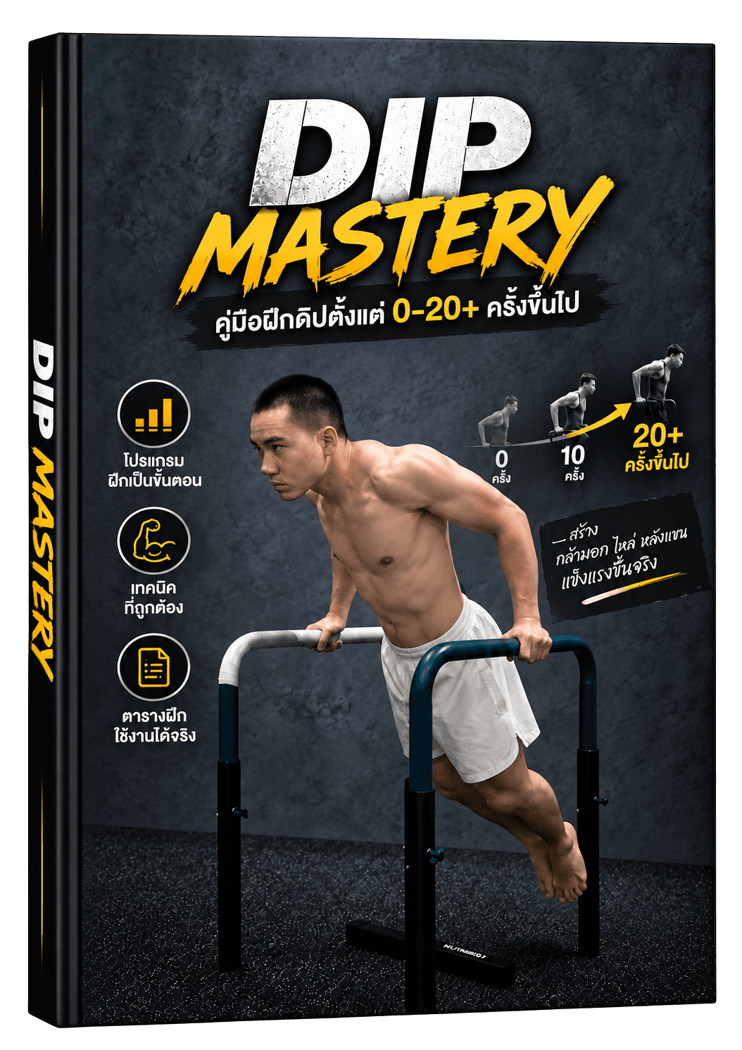 Dip Mastery